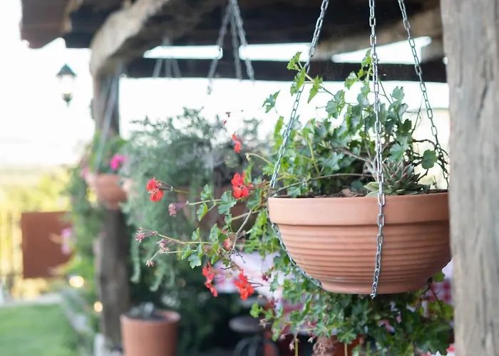 Casa De Ryvyo * Penafiel